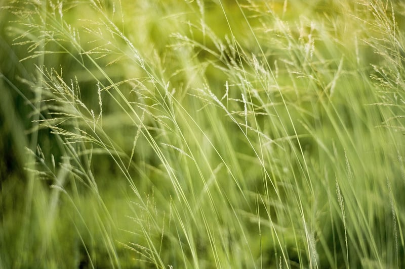 Environmental Consciousness